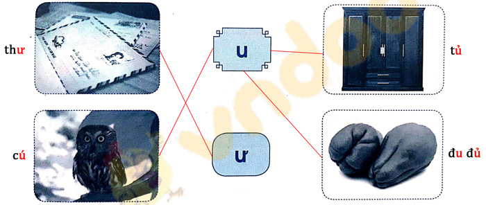 Giải Vở bài tập Tiếng Việt lớp 1 trang 15 Bài 13: U u Ư ư