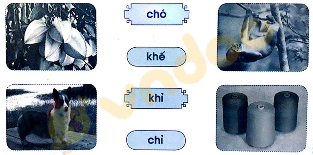 Giải Vở bài tập Tiếng Việt lớp 1 trang 16 Bài 14: Ch ch Kh kh
