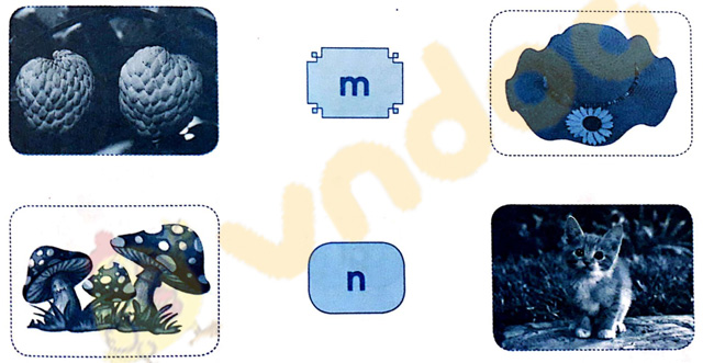 Giải Vở bài tập Tiếng Việt lớp 1 trang 17 Bài 16: M m N n