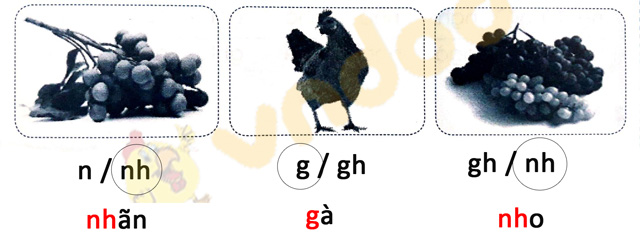 Giải Vở bài tập Tiếng Việt lớp 1 trang 19 Bài 18: Gh gh Nh nh