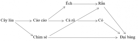 lý thuyết sinh học 12