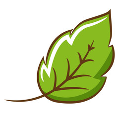 Trắc nghiệm từ vựng Unit 3 lớp 3: This is Tony