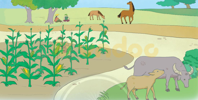 Giải Bài tập Tiếng Việt lớp 1 trang 46 Bài 4: ng ngh