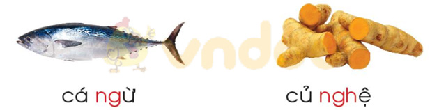 Giải Bài tập Tiếng Việt lớp 1 trang 46 Bài 4: ng ngh