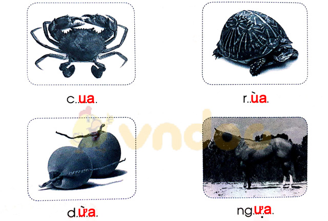 Giải Vở bài tập Tiếng Việt lớp 1 trang 24 Bài 24: ua ưa