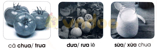 Giải Vở bài tập Tiếng Việt lớp 1 trang 24 Bài 24: ua ưa