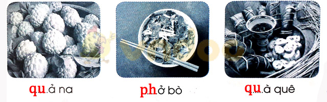 Giải Vở bài tập Tiếng Việt lớp 1 trang 25 Bài 26: Ph ph Qu qu