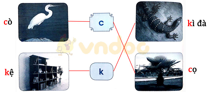 Giải Vở bài tập Tiếng Việt lớp 1 trang 28, 29 Bài 29: Luyện tập chính tả