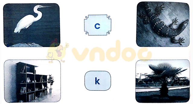 Giải Vở bài tập Tiếng Việt lớp 1 trang 28, 29 Bài 29: Luyện tập chính tả