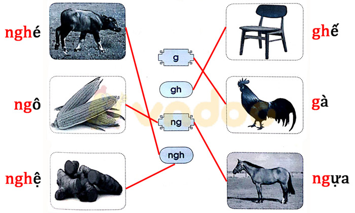 Giải Vở bài tập Tiếng Việt lớp 1 trang 28, 29 Bài 29: Luyện tập chính tả