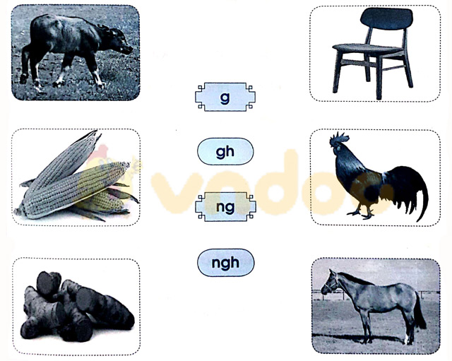 Giải Vở bài tập Tiếng Việt lớp 1 trang 28, 29 Bài 29: Luyện tập chính tả