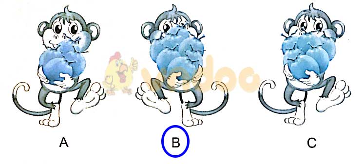 Giải vở bài tập Toán lớp 1 trang 25 sách Kết nối tri thức với cuộc sống