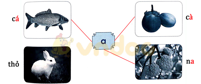 Câu 1. Nối Trả lời: Câu 2. Gà con tìm mẹ Gà con phải đi đúng đường có chữ a để tìm được mẹ. Hãy dùng bút vẽ đường đi giúp gà con. Trả lời:
