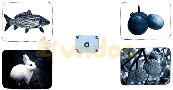 Câu 1. Nối Trả lời: Câu 2. Gà con tìm mẹ Gà con phải đi đúng đường có chữ a để tìm được mẹ. Hãy dùng bút vẽ đường đi giúp gà con. Trả lời: