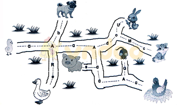 Câu 1. Nối Trả lời: Câu 2. Gà con tìm mẹ Gà con phải đi đúng đường có chữ a để tìm được mẹ. Hãy dùng bút vẽ đường đi giúp gà con. Trả lời: