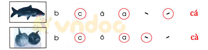 Giải Vở bài tập Tiếng Việt lớp 1 trang 7 Bài 3: C c