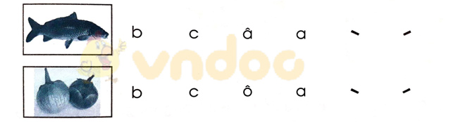 Giải Vở bài tập Tiếng Việt lớp 1 trang 7 Bài 3: C c