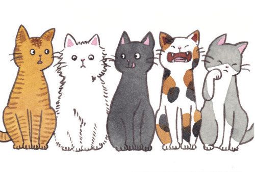 Phiếu bài tập cuối tuần Tiếng Anh lớp 3 nâng cao - Tuần 5