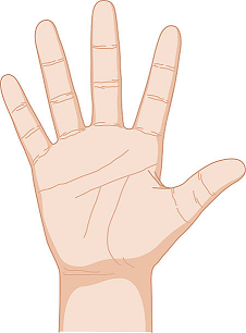 Trắc nghiệm từ vựng Unit 3 lớp 6: My friends