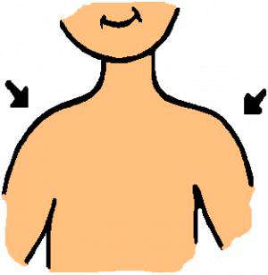 Trắc nghiệm từ vựng Unit 3 lớp 6: My friends