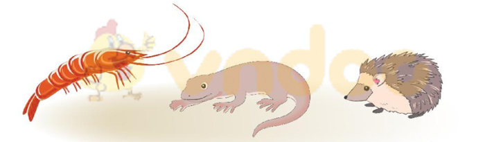 Giải Bài tập Tiếng Việt lớp 1 trang 50 Bài 1: T t Th th