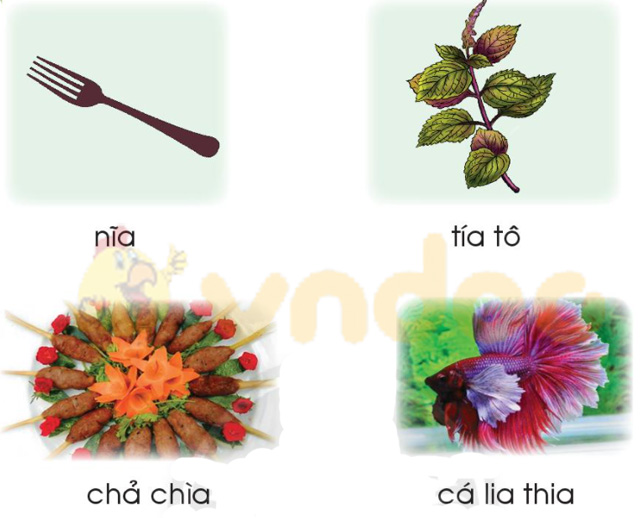 Giải Bài tập Tiếng Việt lớp 1 trang 54 Bài 3: ia