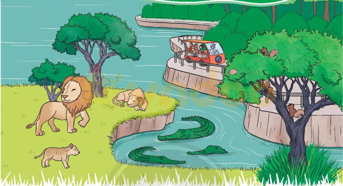 Giải bài tập Tiếng Việt 1 trang 62 Chủ đề 6 Bài 2: S s X x