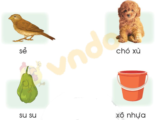 Giải bài tập Tiếng Việt 1 trang 62 Chủ đề 6 Bài 2: S s X x