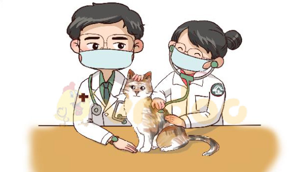 Giải bài tập Tiếng Việt 1 trang 64 Chủ đề 6 Bài 3: Q q qu Y y