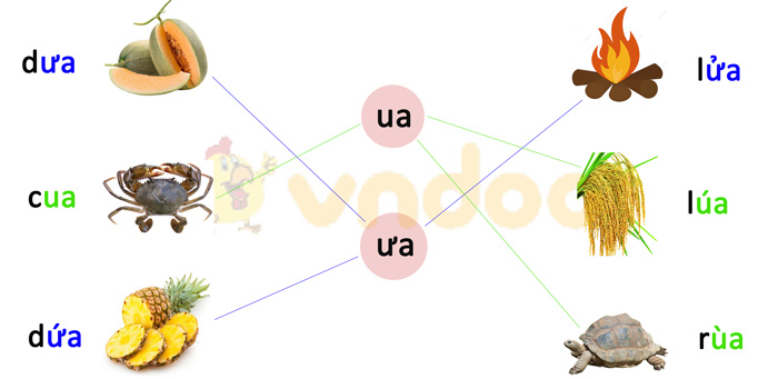 Phiếu bài tập cuối tuần Tiếng Việt 1 nâng cao - Tuần 5 - Phiếu 4