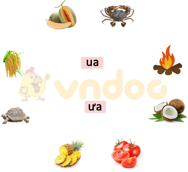 Phiếu bài tập cuối tuần Tiếng Việt 1 nâng cao - Tuần 5 - Số 4