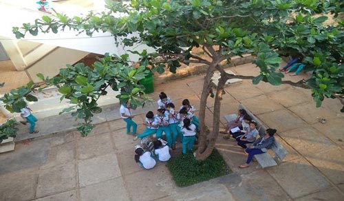 Biểu cảm về cây bàng