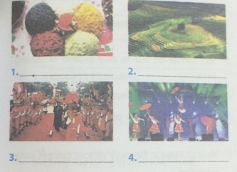 Unit 3 lớp 8 Getting started