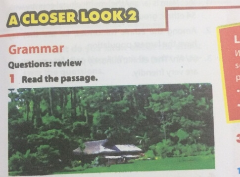 Unit 3 lớp 8 A closer look 2