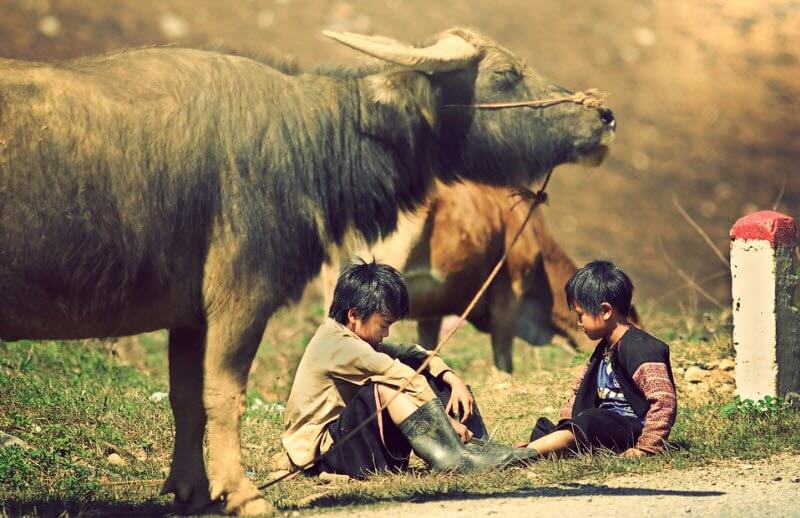 Cảm nghĩ về vui buồn tuổi thơ