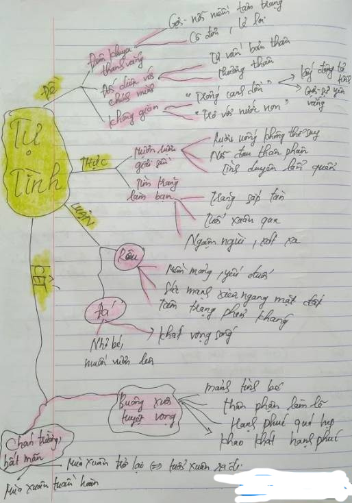 Sơ đồ tư duy Tự tình 2