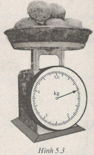 Trắc nghiệm Vật lý 6