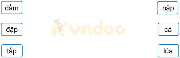 Giải Vở bài tập Tiếng Việt lớp 1 trang 29, 30 Bài 40: âm, âp