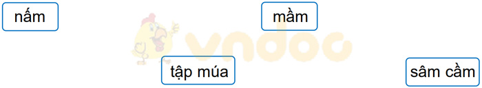 Giải Vở bài tập Tiếng Việt lớp 1 trang 29, 30 Bài 40: âm, âp