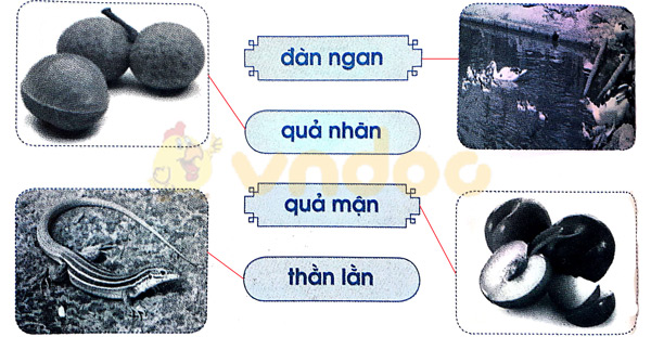 Giải Vở bài tập Tiếng Việt lớp 1 trang 30 Bài 31: an ăn ân