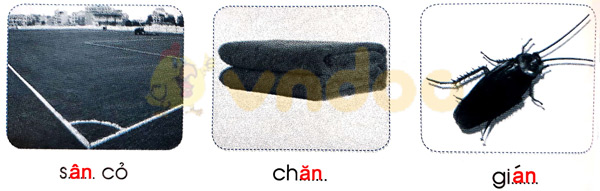 Giải Vở bài tập Tiếng Việt lớp 1 trang 30 Bài 31: an ăn ân