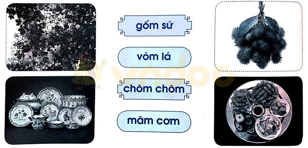 Giải Vở bài tập Tiếng Việt lớp 1 trang 34 Bài 36: om ôm ơm