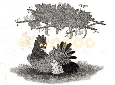 Giải Vở bài tập Tiếng Việt lớp 1 trang 34 Bài 46: iêm, yêm, iêp