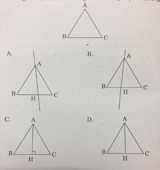 Trắc nghiệm Toán lớp 4 môn Toán 
