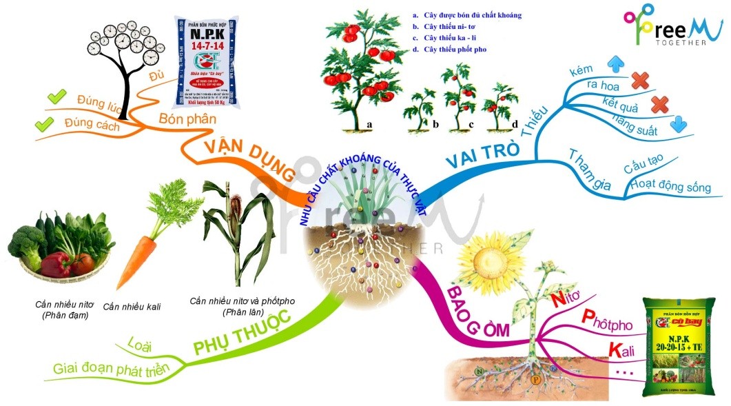 Phân bón hóa học 11