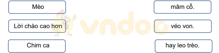 Giải Vở bài tập Tiếng Việt lớp 1 trang 39 Bài 42: ao eo