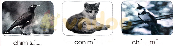 Giải Vở bài tập Tiếng Việt lớp 1 trang 39 Bài 42: ao eo