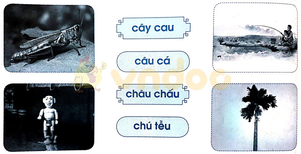 Giải Vở bài tập Tiếng Việt lớp 1 trang 40 Bài 43: au âu êu