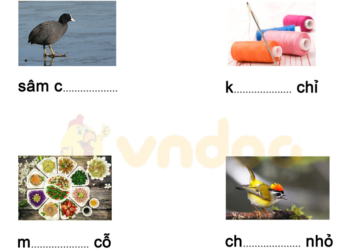 Phiếu bài tập cuối tuần Tiếng Việt lớp 1 Nâng cao - Tuần 8 - Đề 2