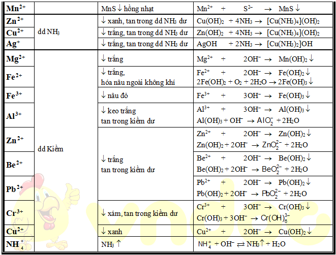 Nhận biết các hợp chất hóa 11 